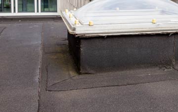 disadvantages of Peper Harow flat roofs